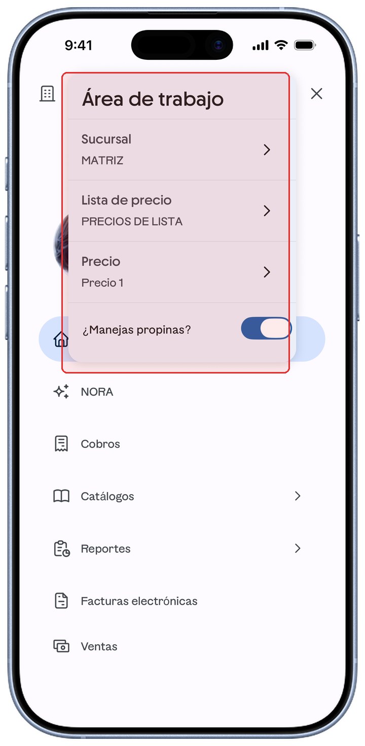 Menú de ContoPay con el panel Área de trabajo resaltado en rojo.